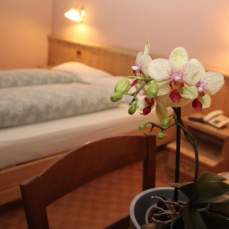 Albergo Caravasc ลีวินโญ ภายนอก รูปภาพ
